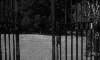 Screenshot 3 from Spider Baby or, The Maddest Story Ever Told (Full Movie)
