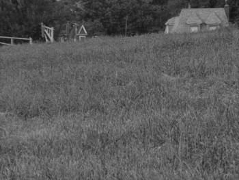 Screenshot 2 from Still/Here (Full Movie)