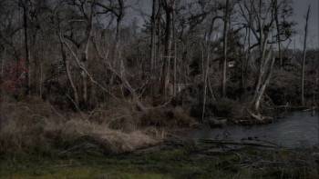 Screenshot 1 from Storm in the Heartland (Full Movie)