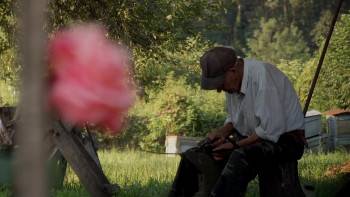 Screenshot 1 from Stream of Love (Full Movie)