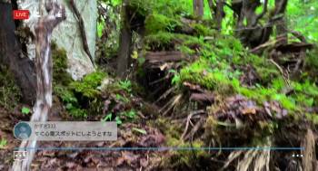 Screenshot 2 from Suicide Forest Village (Full Movie)