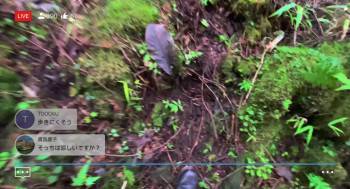 Screenshot 3 from Suicide Forest Village (Full Movie)