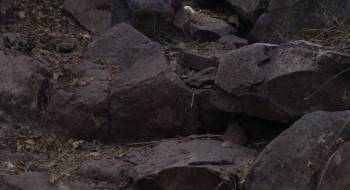 Screenshot 2 from Sujo (Full Movie)