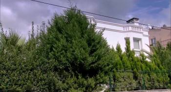 Screenshot 2 from Suna (Full Movie)