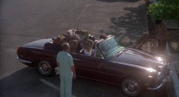 Screenshot 3 from Sunburn (Full Movie)