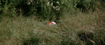 Screenshot 1 from Sunday in the Country (Full Movie)