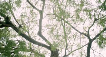 Screenshot 1 from Sunshine of My Life (Full Movie)