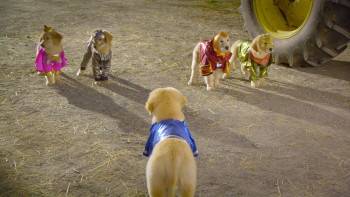 Screenshot 1 from Super Buddies (Full Movie)