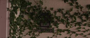 Screenshot 1 from Swap (Full Movie)