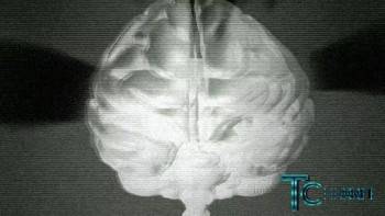 Screenshot 1 from Taeter City (Full Movie)