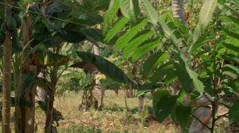 Screenshot 1 from Take Home Pay (Full Movie)