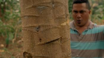 Screenshot 3 from Take Home Pay (Full Movie)