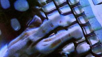 Screenshot 1 from Takedown (Full Movie)