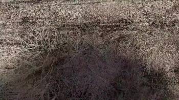 Screenshot 2 from Tales from Pandora's Box 3 (Full Movie)