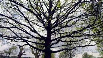 Screenshot 1 from Tales from the Royal Wardrobe (Full Movie)