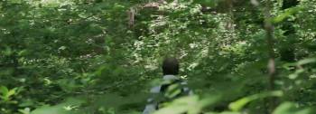 Screenshot 2 from Taller Than the Trees (Full Movie)