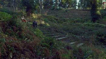 Screenshot 1 from Taming the Garden (Full Movie)