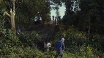 Screenshot 2 from Taming the Garden (Full Movie)