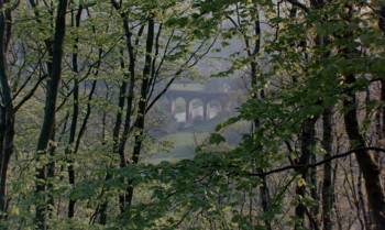 Screenshot 1 from Tarka the Otter (Full Movie)