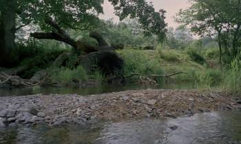 Screenshot 2 from Tarka the Otter (Full Movie)