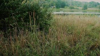 Screenshot 1 from Teddiscare (Full Movie)