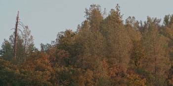 Screenshot 2 from Teller's Camp (Full Movie)