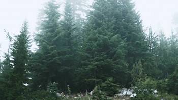 Screenshot 1 from Ten Dollar Death Trip (Full Movie)