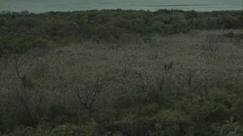Screenshot 1 from Tendaberry (Full Movie)