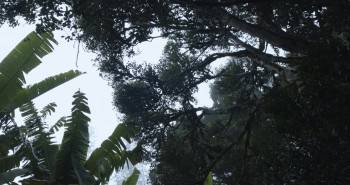 Screenshot 1 from TerraForma (Full Movie)