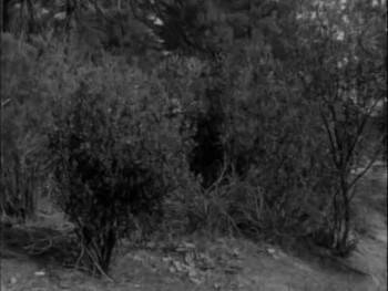 Screenshot 1 from Texas Terror (Full Movie)