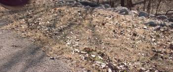 Screenshot 1 from The Adventures of Jurassic Pet: The Lost Secret (Full Movie)