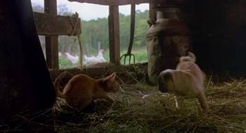 Screenshot 2 from The Adventures of Milo and Otis (Full Movie)