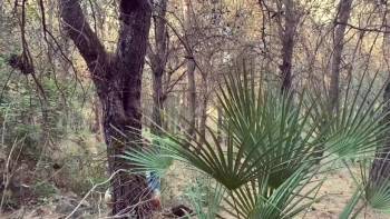 Screenshot 1 from The Arkansas Pigman Massacre (Full Movie)