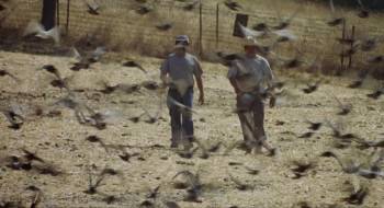Screenshot 3 from The Bad Pack (Full Movie)