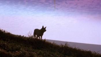 Screenshot 3 from The Beastmaster (Full Movie)