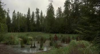 Screenshot 2 from The Beverly Hillbillies (Full Movie)