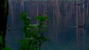 Screenshot 1 from The Birth of Innocence (Full Movie)