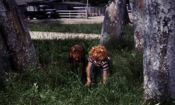 Screenshot 1 from The Biscuit Eater (Full Movie)