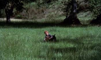 Screenshot 2 from The Biscuit Eater (Full Movie)
