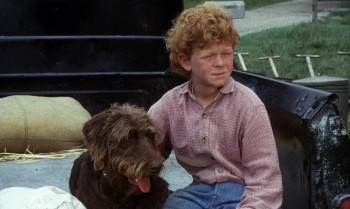 Screenshot 3 from The Biscuit Eater (Full Movie)