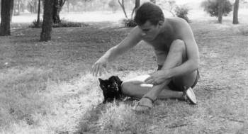 Screenshot 1 from The Black Cat (Full Movie)