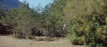 Screenshot 1 from The Black Tulip (Full Movie)