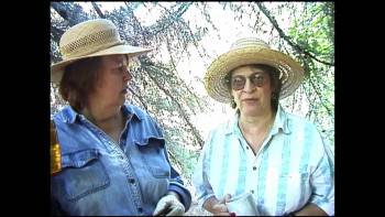 Screenshot 1 from The Blair Rabbit Project (Full Movie)