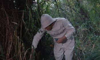 Screenshot 1 from The Blood Beast Terror (Full Movie)