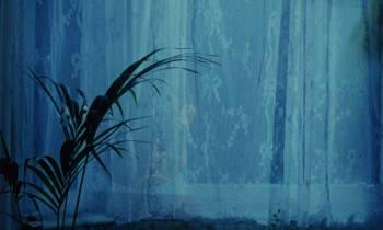 Screenshot 2 from The Body Beautiful (Full Movie)