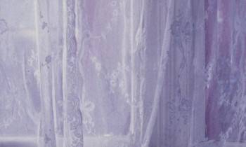 Screenshot 3 from The Body Beautiful (Full Movie)