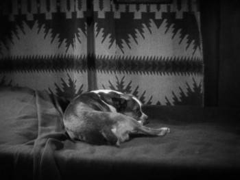 Screenshot 3 from The Boob (Full Movie)