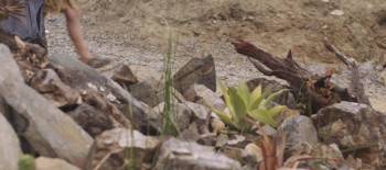 Screenshot 2 from The Boy (Full Movie)