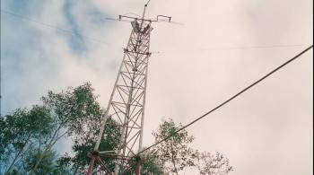 Screenshot 3 from The Breed (Full Movie)