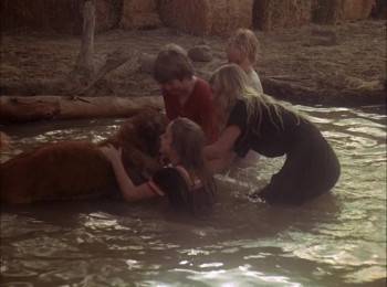 Screenshot 3 from The Call of the Wild (Full Movie)